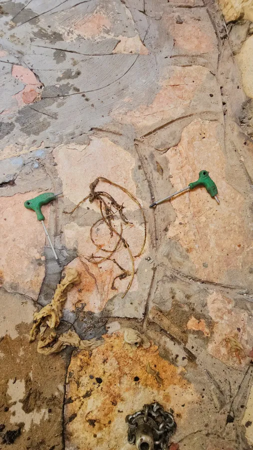 שורשים ומגבונים שנשלפו מקו הביוב ומונחים על ריצוף החצר